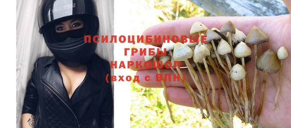 Альфа ПВП Инсар