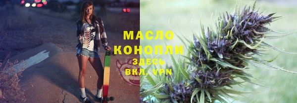 Альфа ПВП Инсар