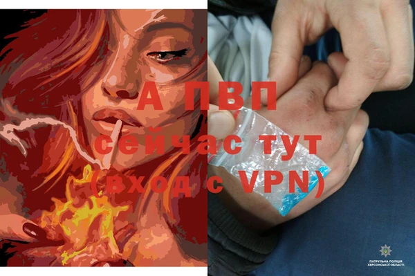 таблы Иннополис