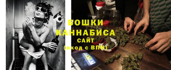 Альфа ПВП Инсар